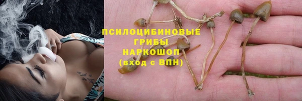 круглые Алексеевка