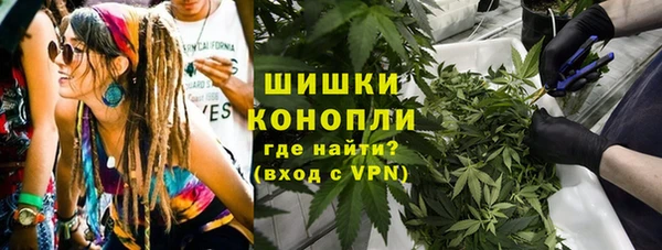ПСИЛОЦИБИНОВЫЕ ГРИБЫ Алзамай