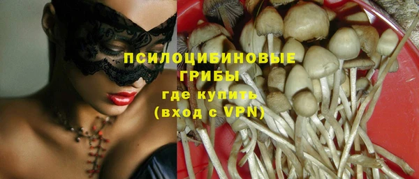 ПСИЛОЦИБИНОВЫЕ ГРИБЫ Алзамай
