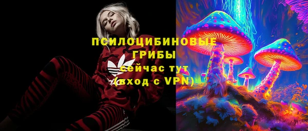 круглые Алексеевка