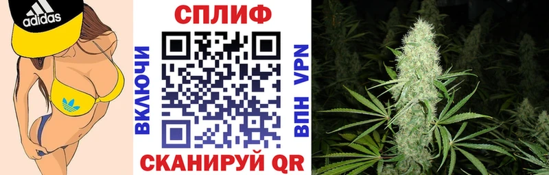 что такое наркотик  Солнечногорск  Канабис Bruce Banner 